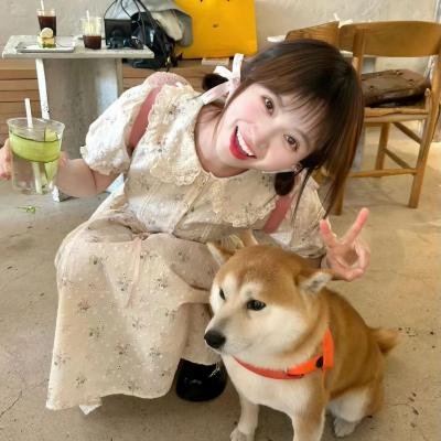 旧梦新欢
